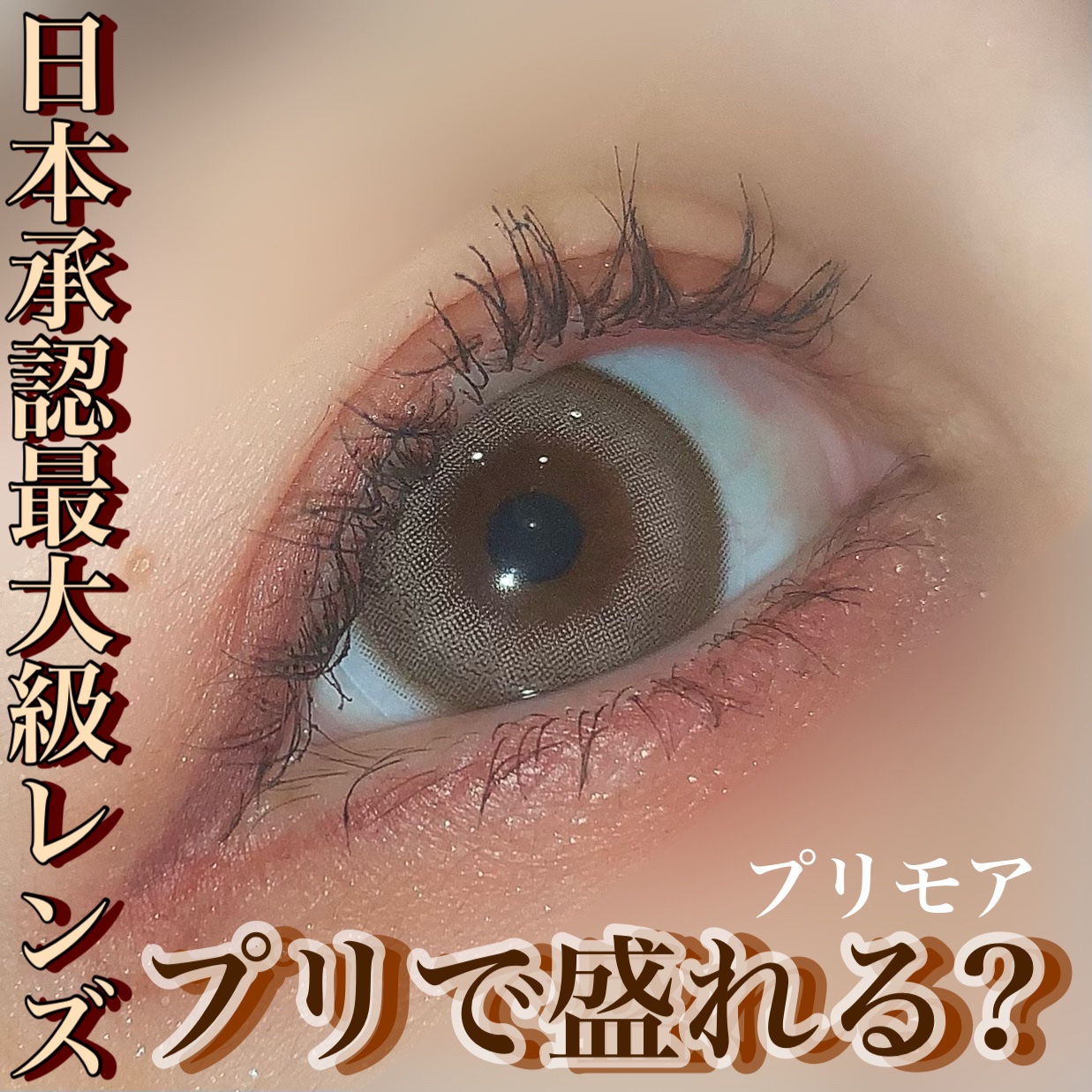 PRIMORE 1day/PRIMORE/カラーコンタクトレンズを使ったクチコミ（1枚目）