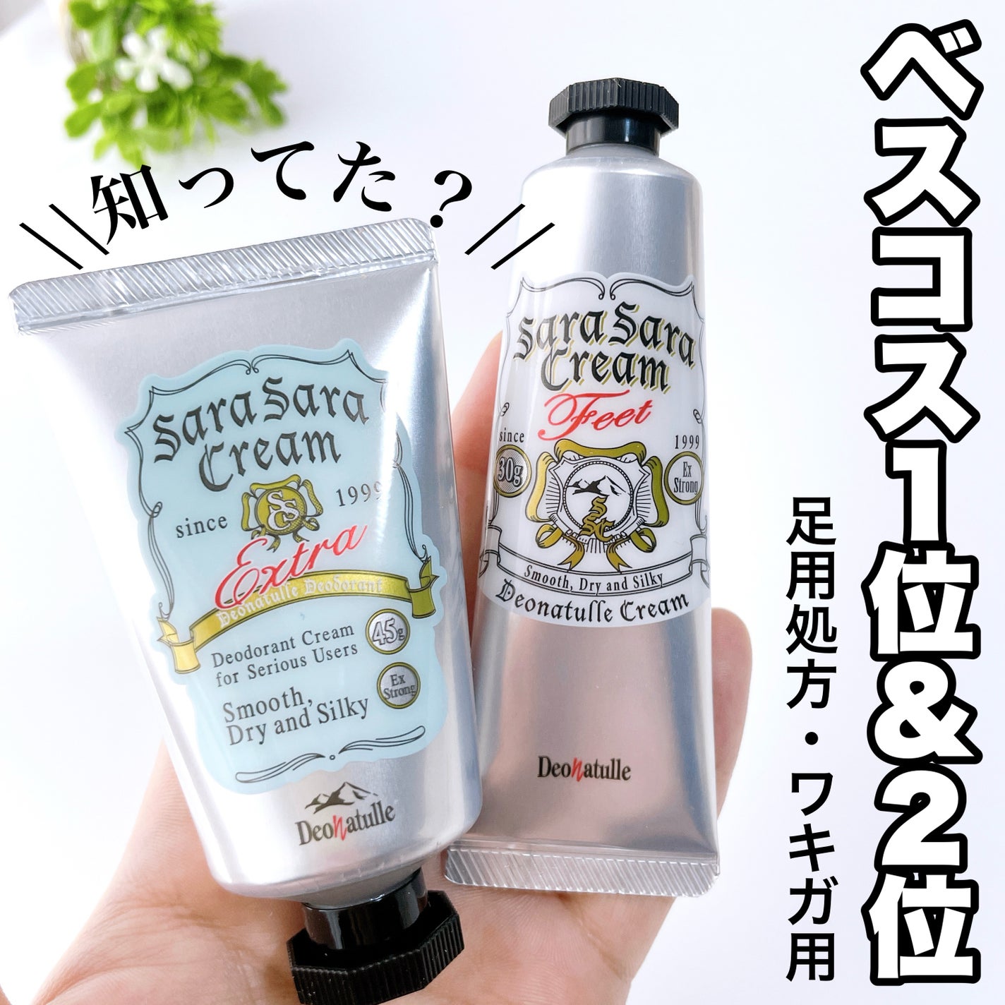 è¬çšè¶³æããããã¯ãªãŒã /ããªããã¥ã¬/ããªãã©ã³ãã»å¶æ±å€ã䜿ã£ãã¯ãã³ãïŒ1æç®ïŒ