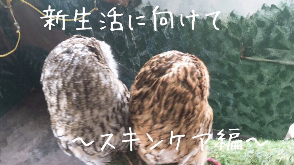 ノーセバム ミネラルパウダー/innisfree/ルースパウダーを使ったクチコミ（1枚目）