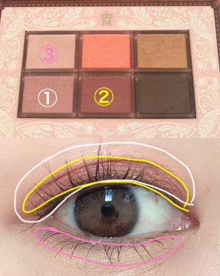 ナイストゥミーチュートランク/MAJOLICA MAJORCA/アイシャドウパレットを使ったクチコミ(3枚目)