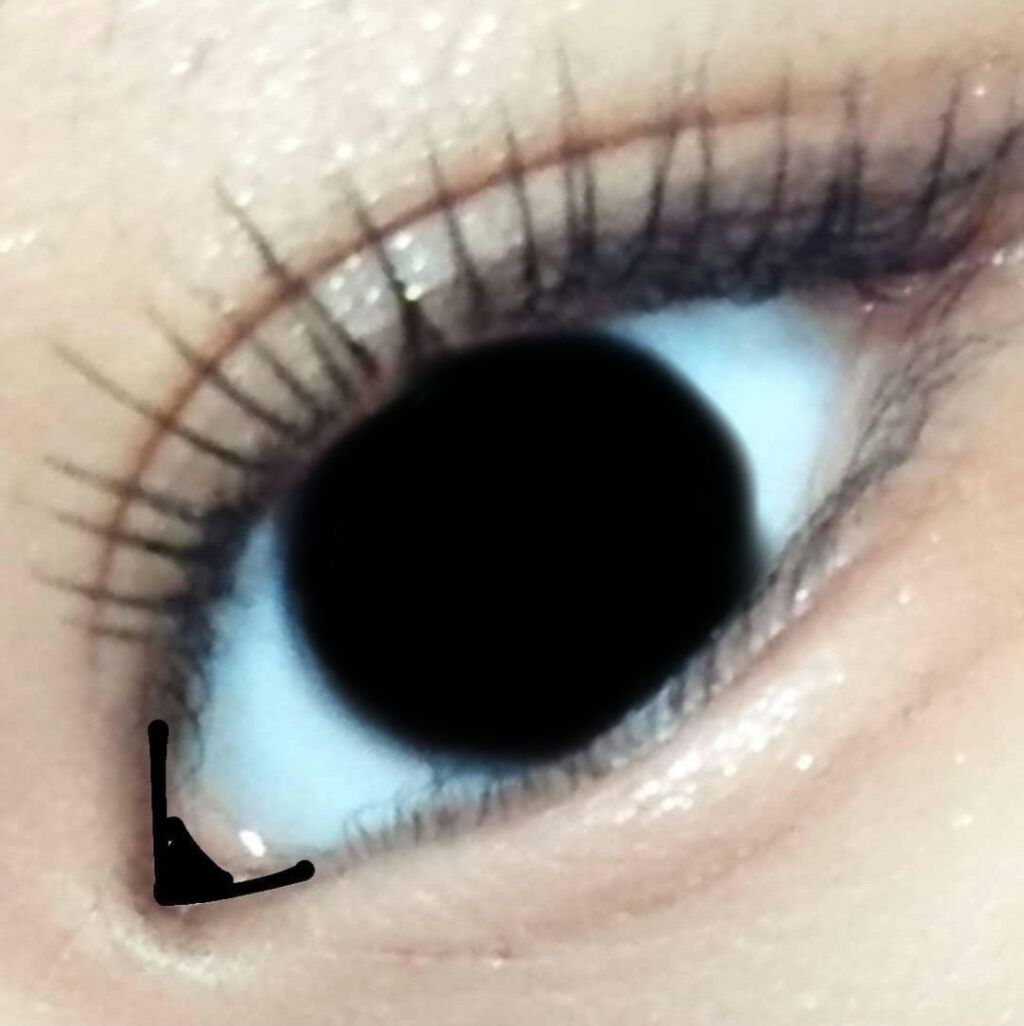 エテュセ アイエディション (マスカラベース)/ettusais/マスカラ下地を使ったクチコミ(1枚目)