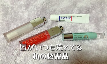 モアリップ N (医薬品)/資生堂薬品/リップケア・リップクリームを使ったクチコミ（1枚目）