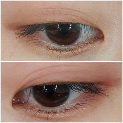 2021 F/Wルックブックパレット/espoir/アイシャドウパレットを使ったクチコミ(1枚目)