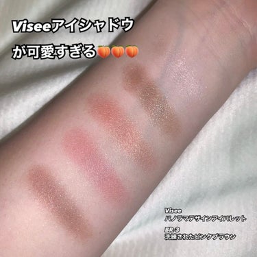 パノラマデザイン アイパレット/Visée/パウダーアイシャドウを使ったクチコミ（1枚目）