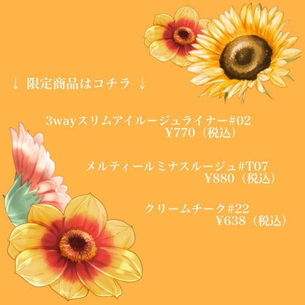 3wayスリムアイルージュライナー/キャンメイク/リキッドアイライナーを使ったクチコミ(2枚目)