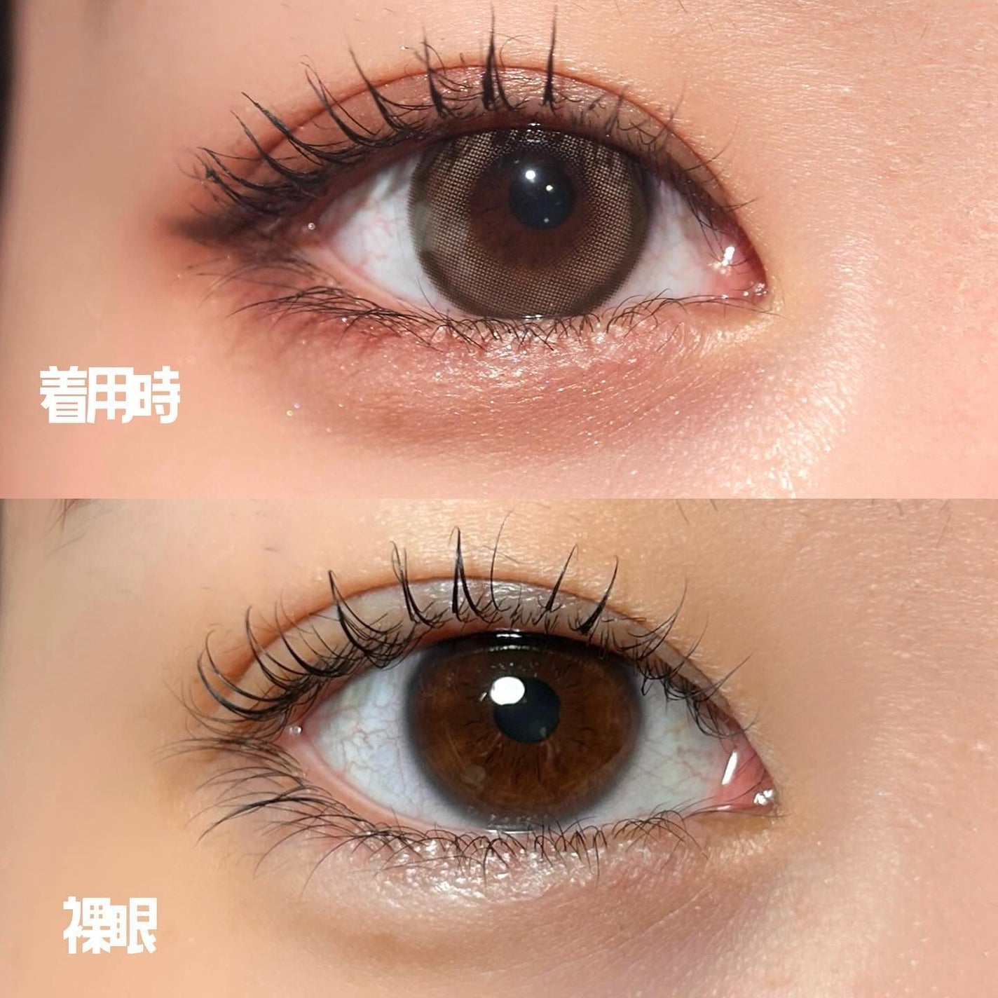 エバーカラーワンデーミリモア/エバーカラー/ワンデー(1DAY)カラコンを使ったクチコミ(3枚目)