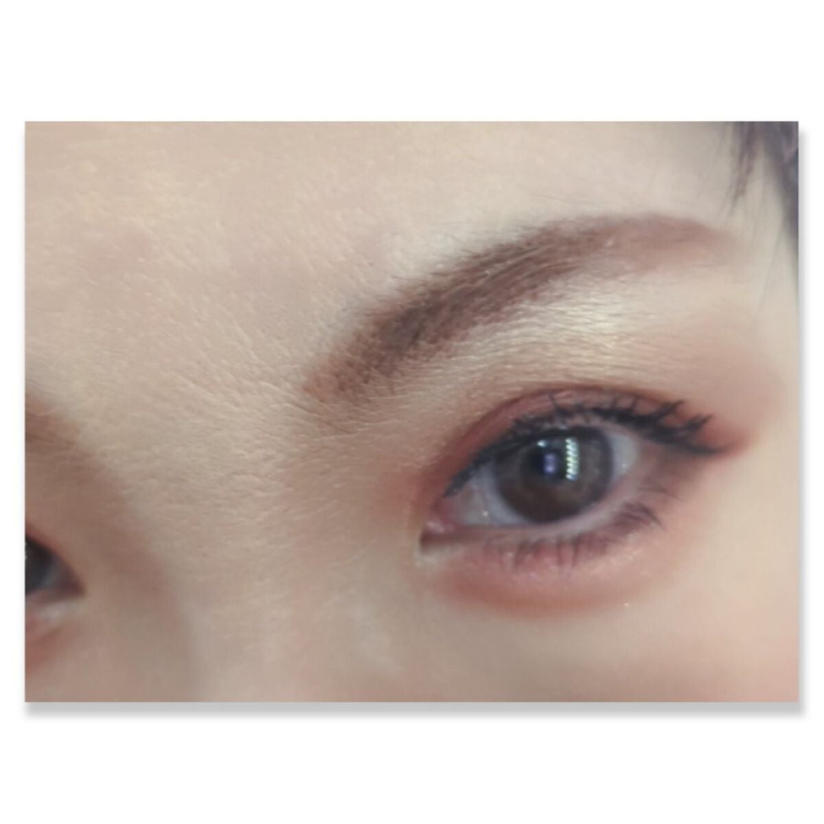 グラデーション アイシャドウ/ちふれ/アイシャドウパレットを使ったクチコミ(3枚目)