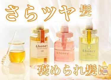 ディープモイスト シャンプー1.0／ヘアトリートメント2.0/&honey/シャンプー・コンディショナーを使ったクチコミ（1枚目）