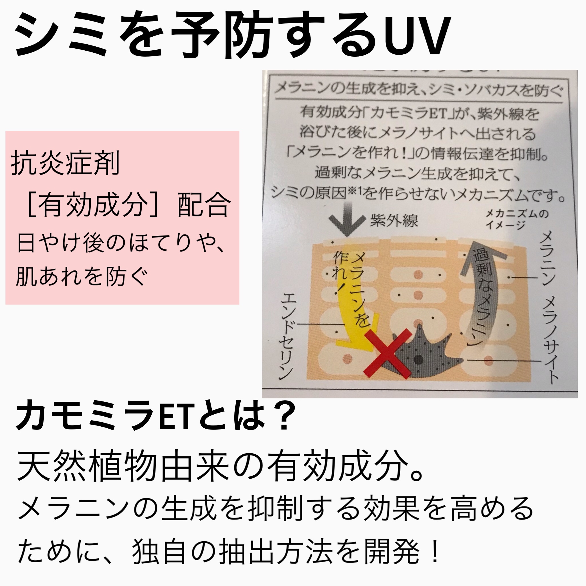 ソフィーナ iP スキンケアUV 03 シミができやすい肌環境 SPF50+PA++++/SOFINA iP/日焼け止めクリームを使ったクチコミ（2枚目）