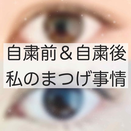 スカルプD ボーテ ピュアフリーアイラッシュセラム/アンファー(スカルプD)/まつげ美容液を使ったクチコミ(1枚目)