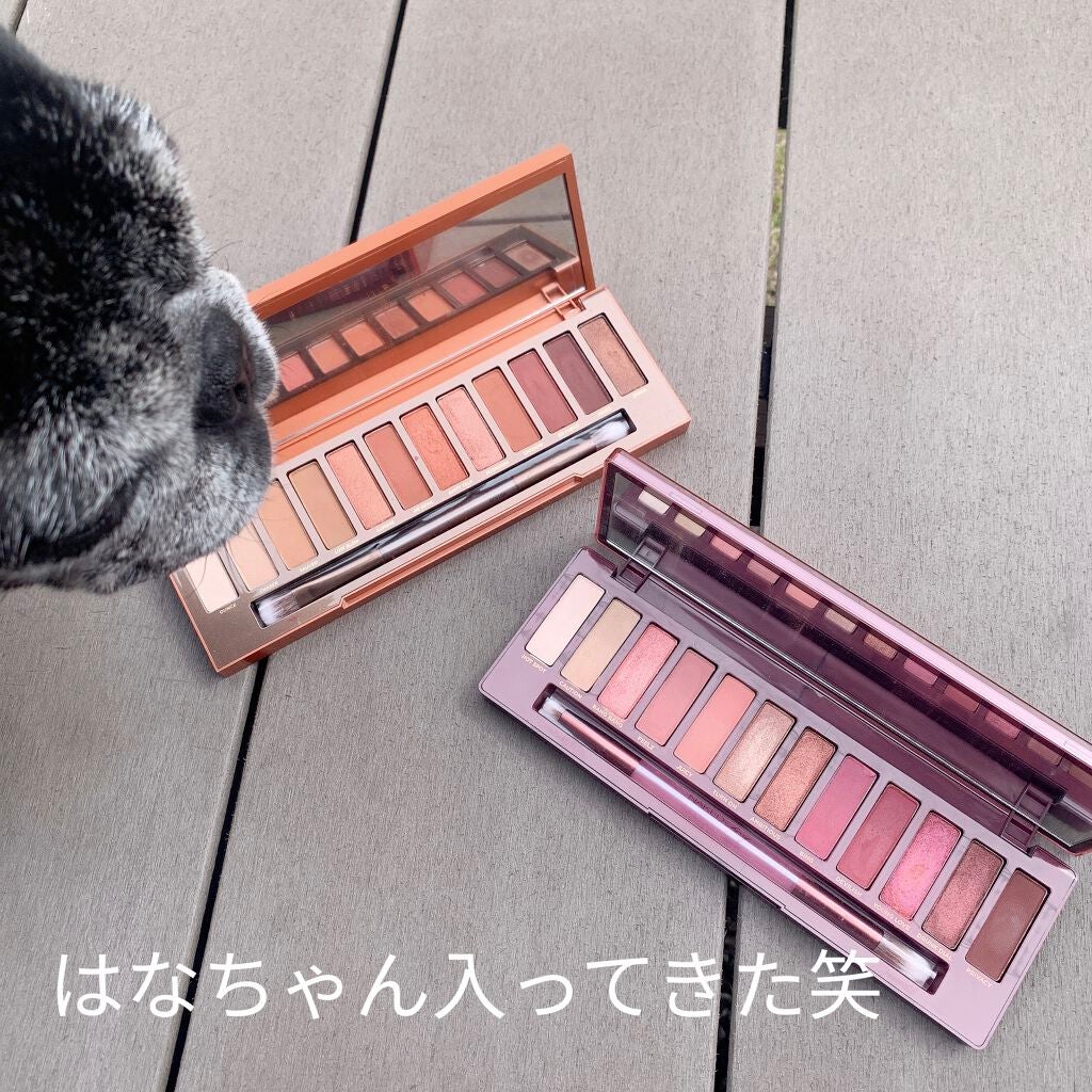 NAKED HEAT/アーバンディケイ/アイシャドウパレットを使ったクチコミ(3枚目)