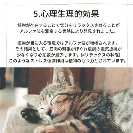 まいことあーこ on LIPS 「ㅤㅤㅤㅤㅤㅤㅤㅤㅤㅤㅤㅤㅤこんばんは~まいことあーこです🌵(@..」(6枚目)