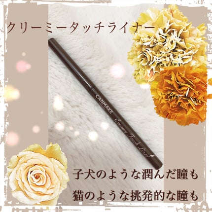 クリーミータッチライナー/キャンメイク/ジェルアイライナーを使ったクチコミ(1枚目)