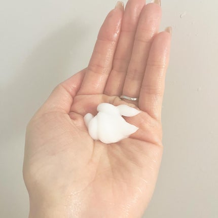 SS ビオリス ピュアレタッチ ぱやとぅや シャンプー/ヘアコンディショナー/SSビオリス/市販シャンプーを使ったクチコミ(4枚目)