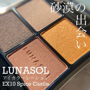 アイカラーレーション EX10 Spice Castle（限定発売）/LUNASOL/アイシャドウパレットを使ったクチコミ（1枚目）