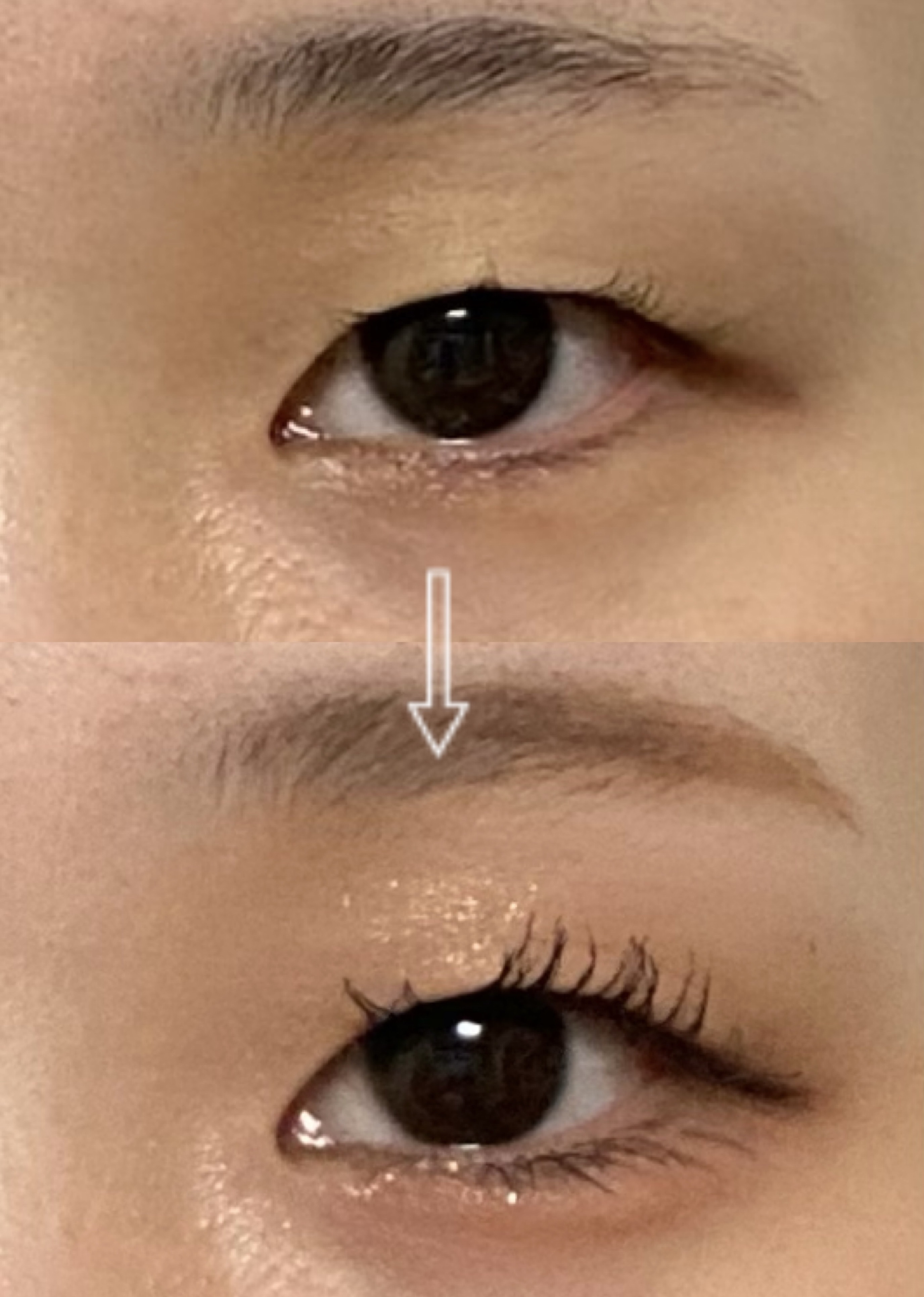 シャドーカスタマイズ/MAJOLICA MAJORCA/単色アイシャドウを使ったクチコミ（2枚目）