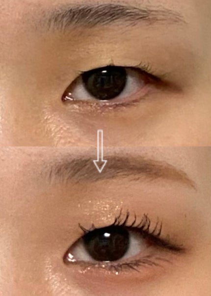 シャドーカスタマイズ/MAJOLICA MAJORCA/単色アイシャドウを使ったクチコミ(2枚目)