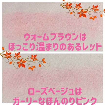 ナチュラル チークN/CEZANNE/パウダーチークを使ったクチコミ(3枚目)