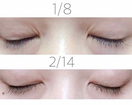 を使ったクチコミ(2枚目)