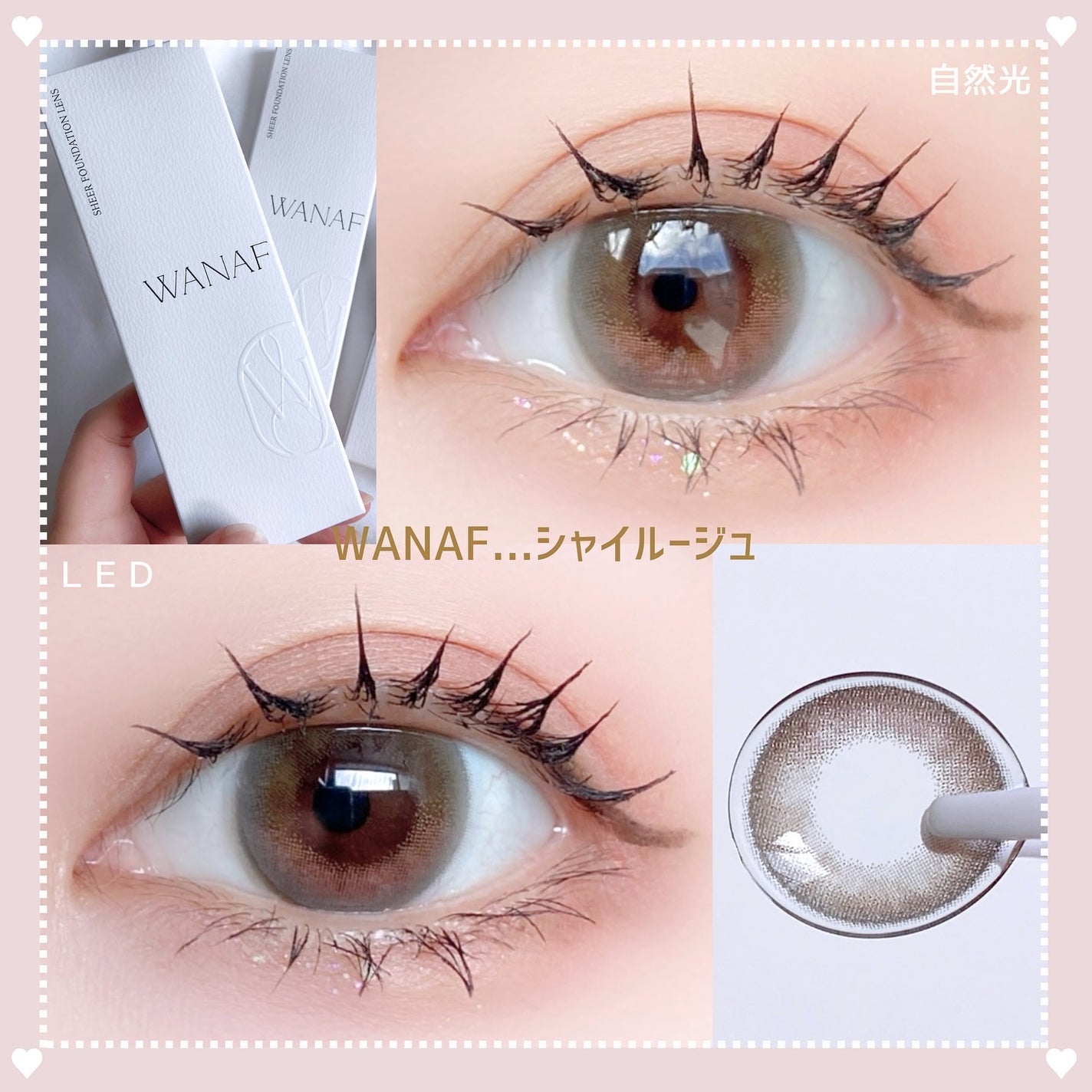WANAF 1day/WANAF/ワンデー(1DAY)カラコンを使ったクチコミ(7枚目)