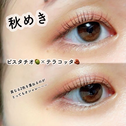 SUIKOミネラルマルチカラー/SUIKO HATSUCURE/単色アイシャドウを使ったクチコミ(5枚目)