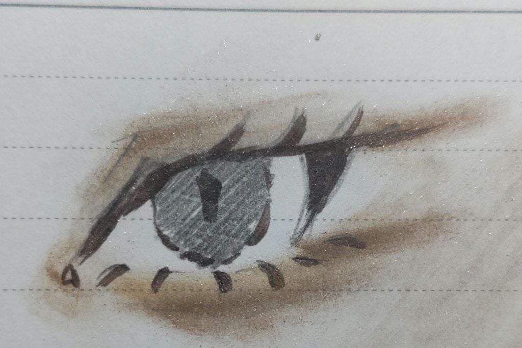 ST 3CアイシャドウE/キャンドゥ/アイシャドウパレットを使ったクチコミ(4枚目)