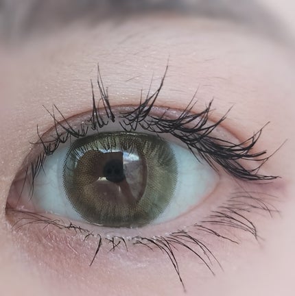 Angelcolor Bambi Series Vintage 1day ヴィンテージピスタチオ/AngelColor/ワンデー(1DAY)カラコンの画像