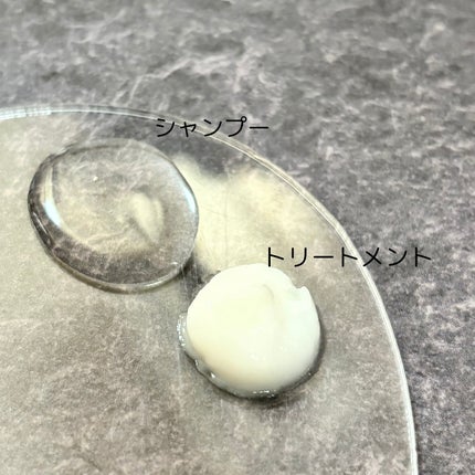 SILK THE RICH モイスト&リペア シャンプー・トリートメント/SILK THE RICH/市販シャンプーを使ったクチコミ(4枚目)