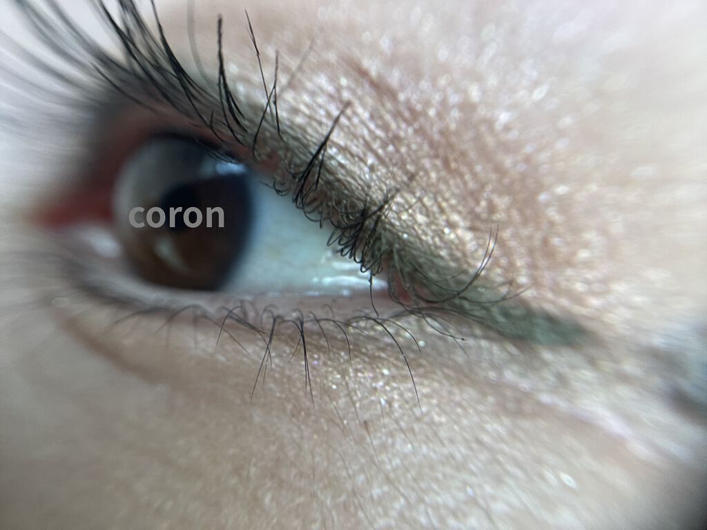 シルキースフレアイズ/キャンメイク/アイシャドウパレットを使ったクチコミ（2枚目）