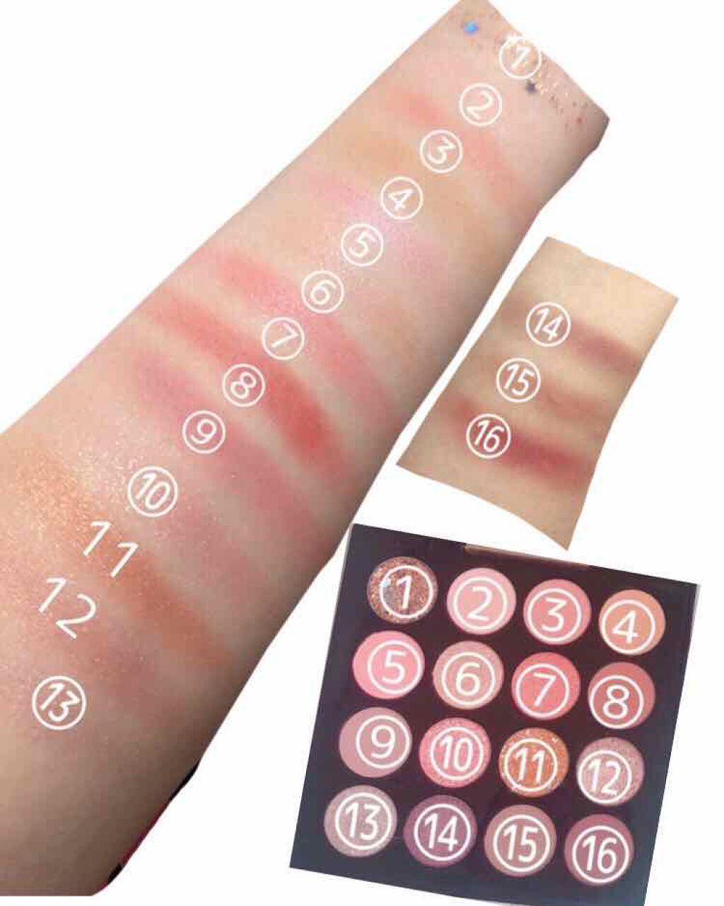 大英博物館 エジプトシリーズ アイシャドウパレット/ZEESEA/アイシャドウパレットを使ったクチコミ（2枚目）