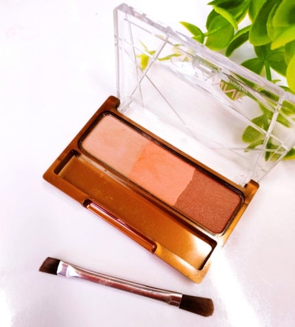 ノーズ&アイブロウパウダー/CEZANNE/パウダーアイブロウを使ったクチコミ(2枚目)