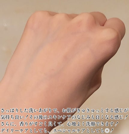 スクラビング マッド ウォッシュ/KANEBO/洗顔フォームを使ったクチコミ(6枚目)