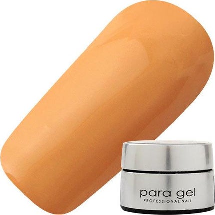 AMD23 マスタード