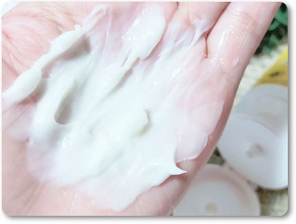 アルガン ヘアシャンプー/ヘアコンディショナー/WELEDA/市販シャンプーを使ったクチコミ(1枚目)