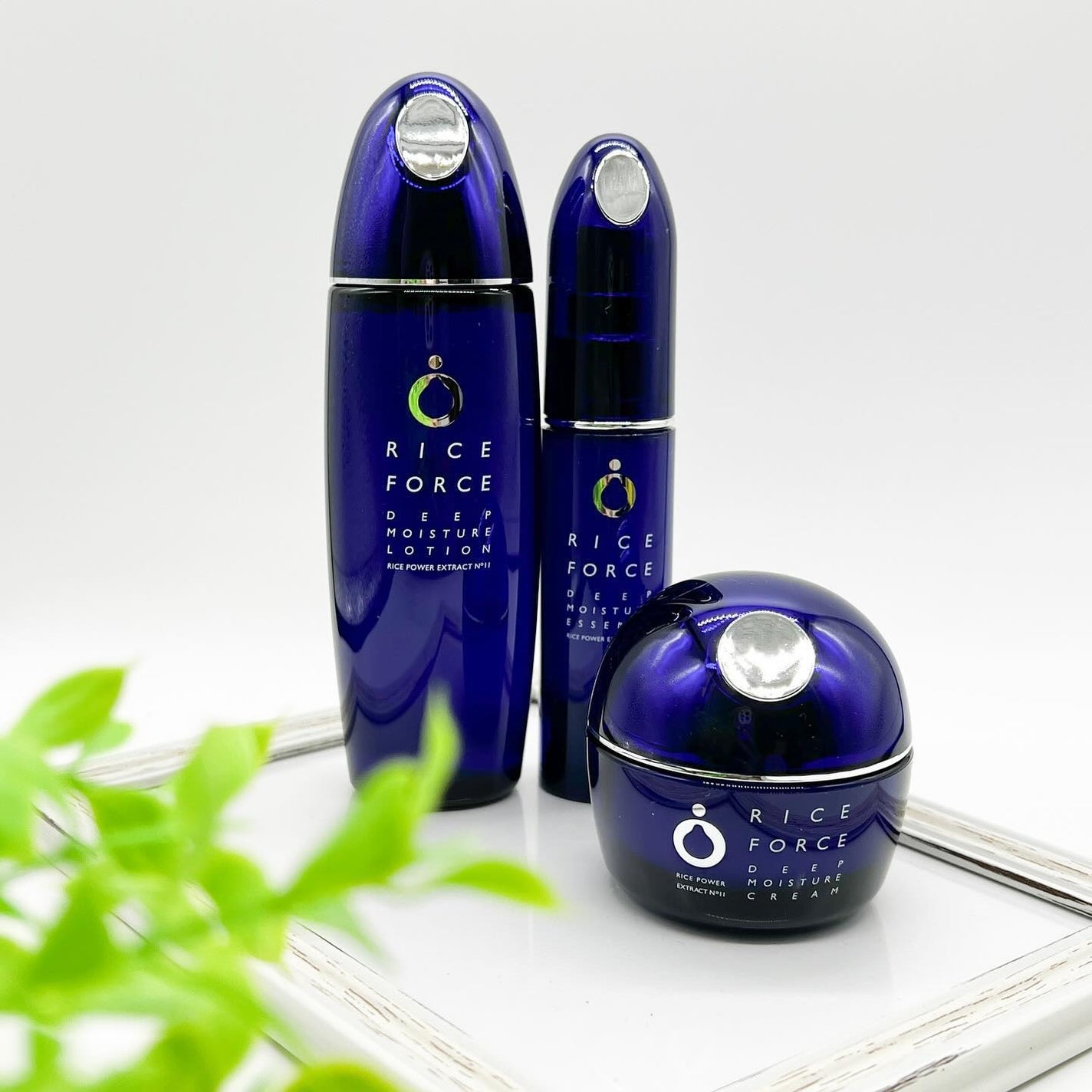 ディープモイスチュアクリーム/ライスフォース/フェイスクリームを使ったクチコミ(1枚目)