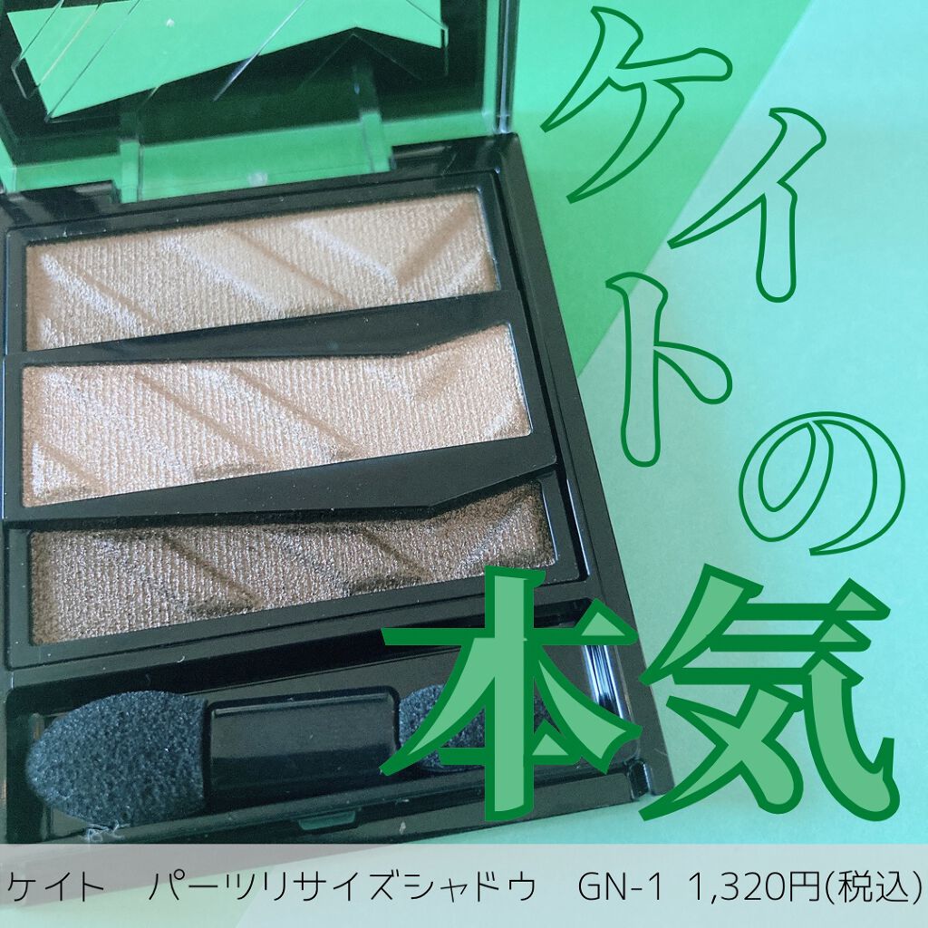 パーツリサイズシャドウ GN-1 モードアッシュ/KATE/アイシャドウパレットを使ったクチコミ（1枚目）
