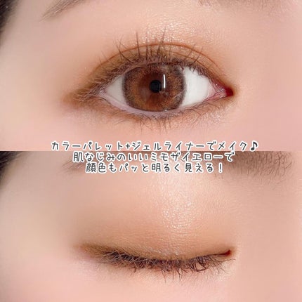 エテュセ アイエディション(カラーパレット)/ettusais/アイシャドウパレットを使ったクチコミ(6枚目)