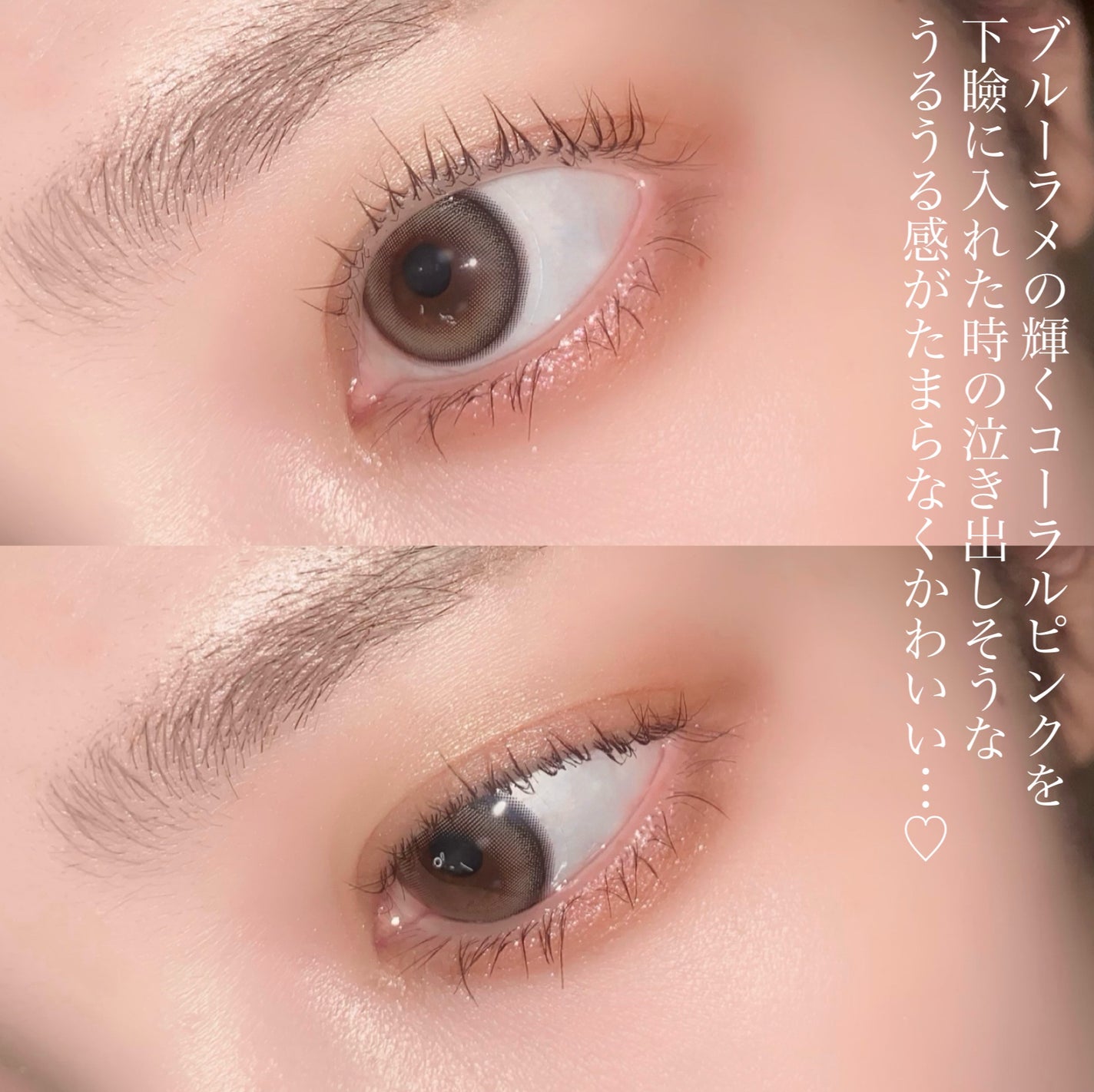 ミネラルクラッシィシャドー/エトヴォス/アイシャドウパレットを使ったクチコミ(6枚目)