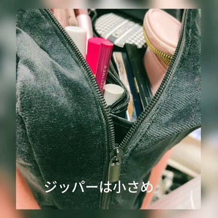 かわにしみきプロデュース ズボラでも収納できる!BIGマルチポーチBOOK/宝島社/雑誌を使ったクチコミ(4枚目)