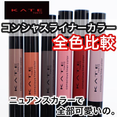 コンシャスライナーカラー/KATE/リキッドアイライナーを使ったクチコミ（1枚目）