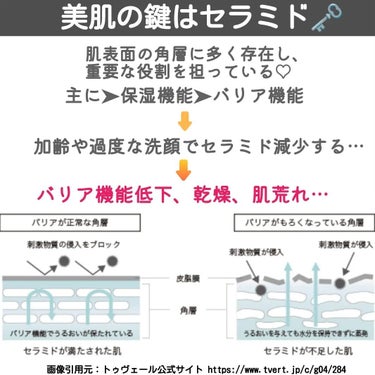 薬用スキンミルク/セラミエイド/ボディミルクを使ったクチコミ（2枚目）