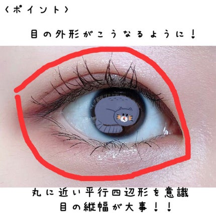 プロ アイ パレット/CLIO/アイシャドウパレットを使ったクチコミ(5枚目)