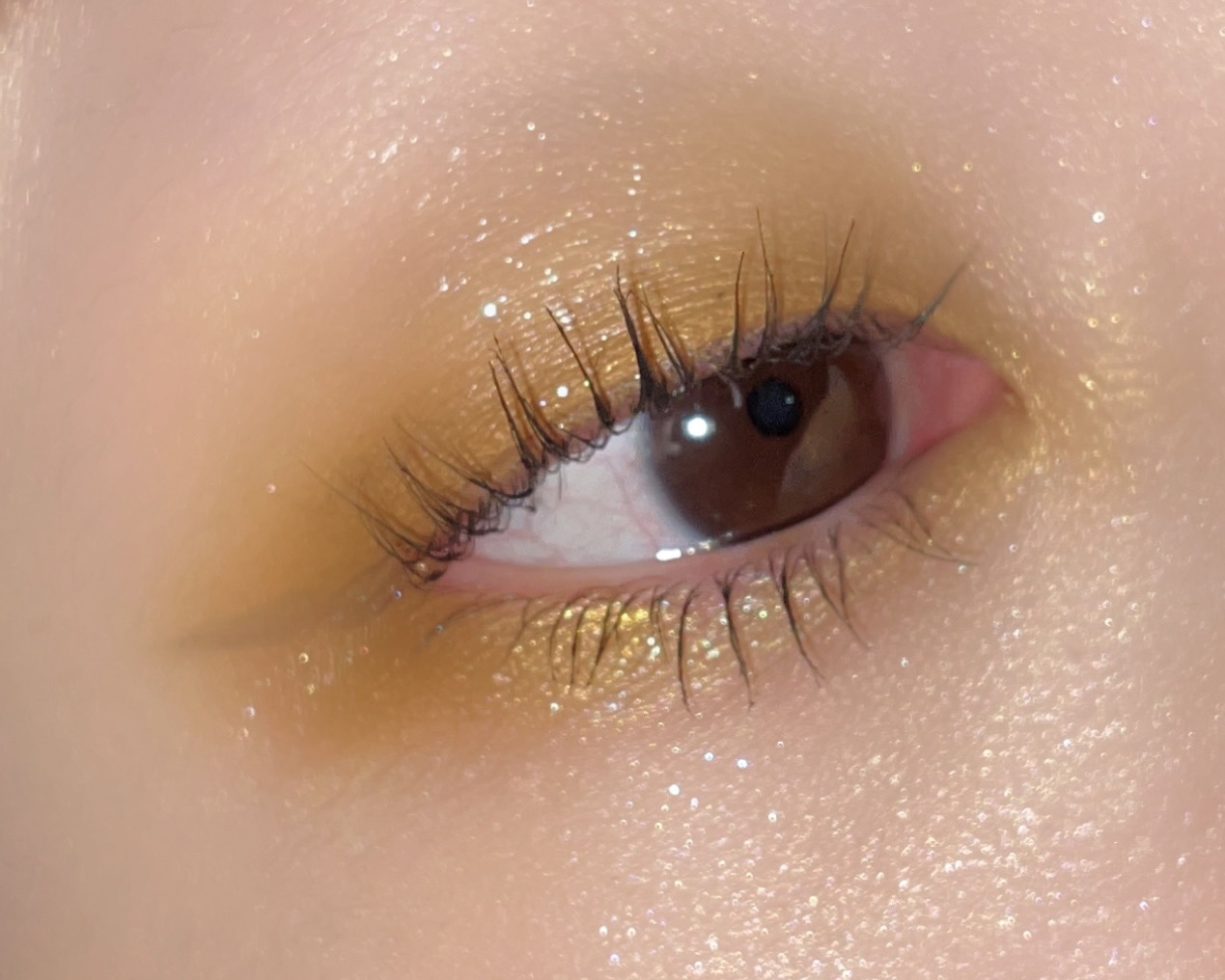 UH-HUH Honey/ColourPop/アイシャドウパレットを使ったクチコミ（2枚目）