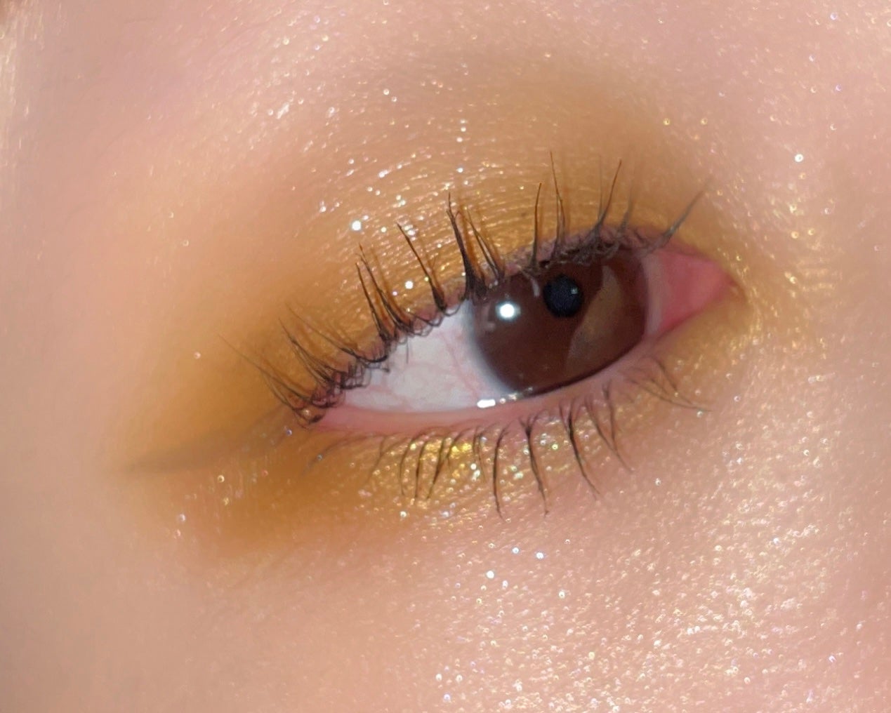 UH-HUH Honey/ColourPop/アイシャドウパレットを使ったクチコミ(2枚目)