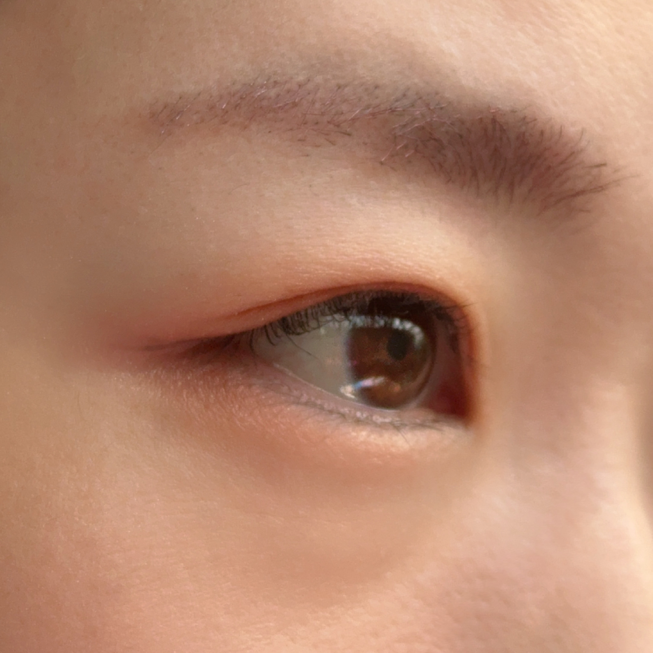 ハンオールブロウカラ 06 ベリーオーキッド(BERRY ORCHID)(日本限定)/rom&nd/眉マスカラを使ったクチコミ（3枚目）