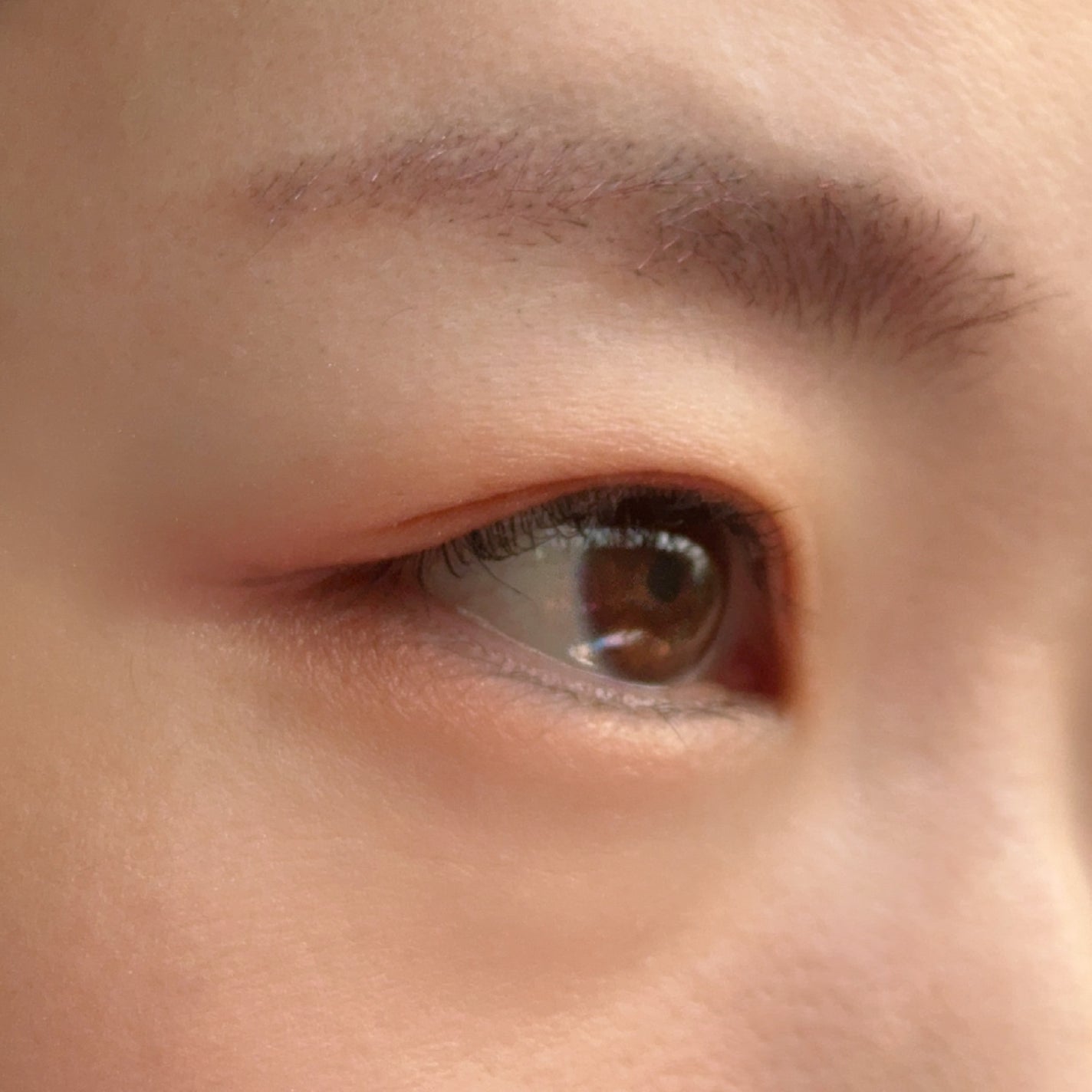 ハンオールブロウカラ/rom&nd/眉マスカラを使ったクチコミ(3枚目)