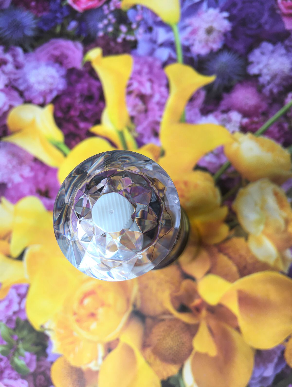 モロッコ100％オーガニック ウチワサボテンオイル/Natural Majesty/フェイスオイルを使ったクチコミ（2枚目）