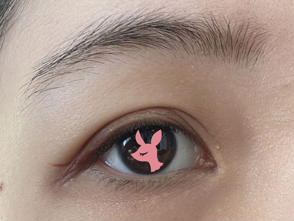 3in1アイブロウ/キャンメイク/アイブロウペンシルを使ったクチコミ（3枚目）