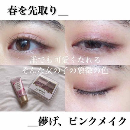 パーフェクトマルチアイズ/キャンメイク/アイシャドウパレットを使ったクチコミ(1枚目)