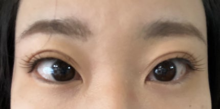 アニマルアイシャドウ(4シェード)/ZEESEA/アイシャドウパレットを使ったクチコミ(10枚目)